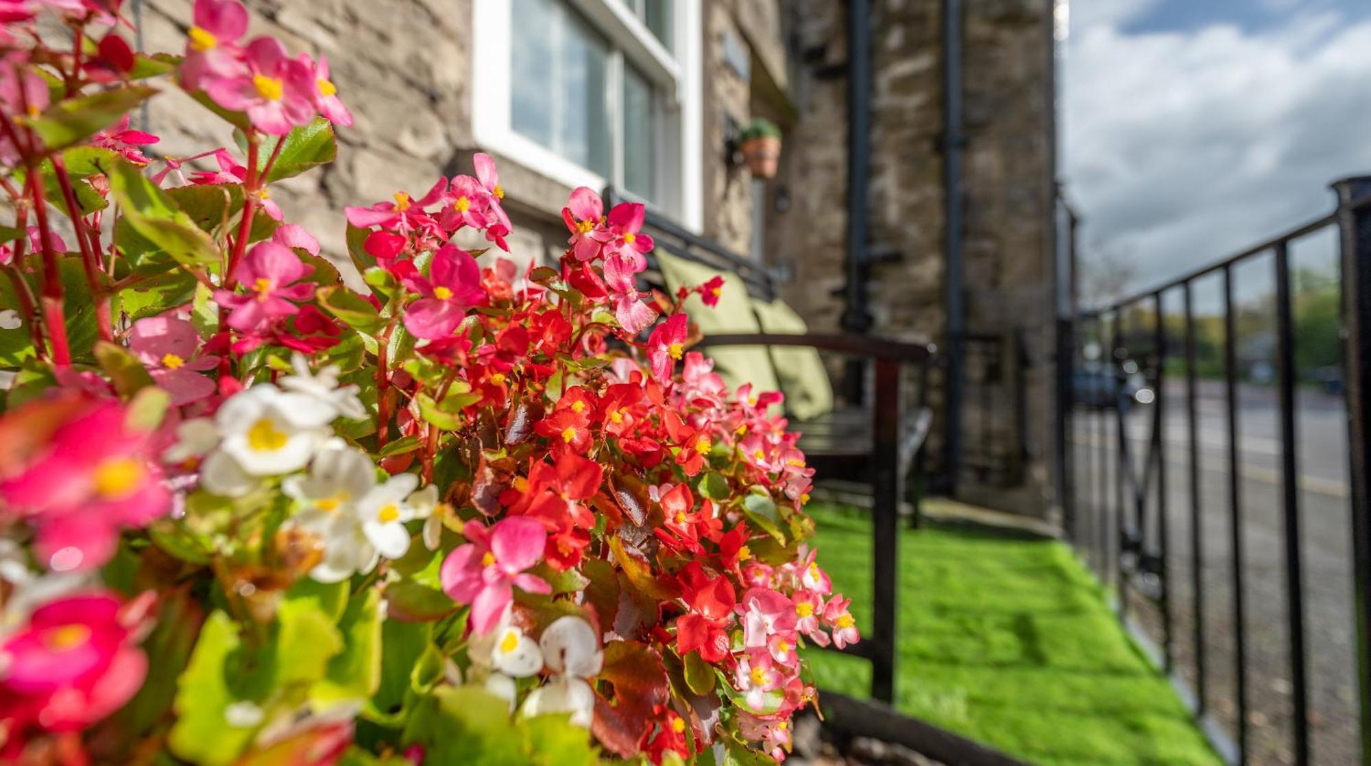 Wee Toad Hole Heart Of Kendal - Cottage Sleeps 4-6 - Dogs Welcome Exterior foto